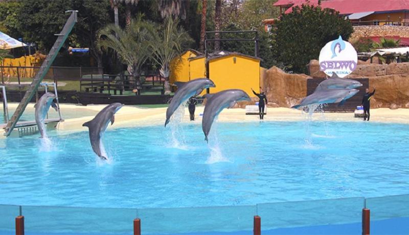 Paseo Maritimo Los Boliches. Fuengirola Εξωτερικό φωτογραφία